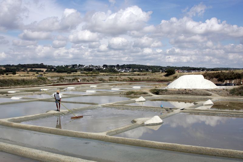 Guerande terre de sel pradel marais salants paludier photo p francois 371976